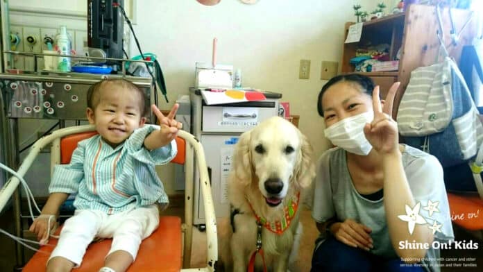 Having facility dogs in children’s hospitals is beneficial for both the patients and the staff