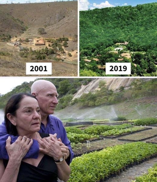 Photographer And His Wife Plant 2 Million Trees In 20 Years To Restore A Destroyed Forest And Even The Animals Have Returned