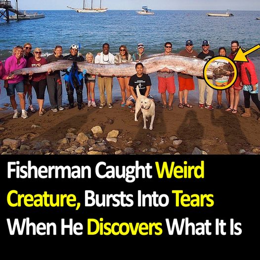 Fisherman Caught Weird Creature, Bursts Into Tears When He Discovers What It Is