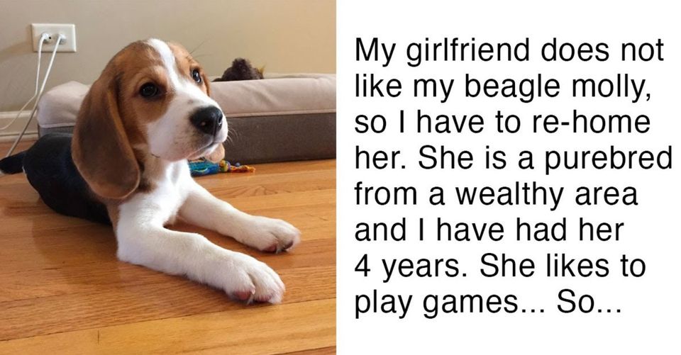 Man’s girlfriend gives him ultimatum, either the dog goes or she goes