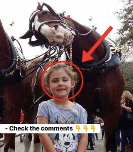 In front of a horse, the father takes a photo of his daughter